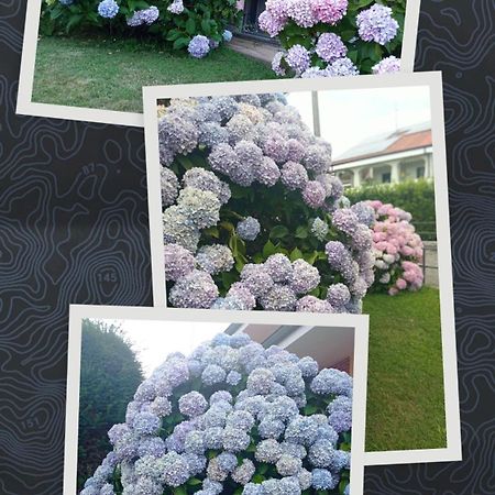 Vignolo B&B L'Ortensia מראה חיצוני תמונה