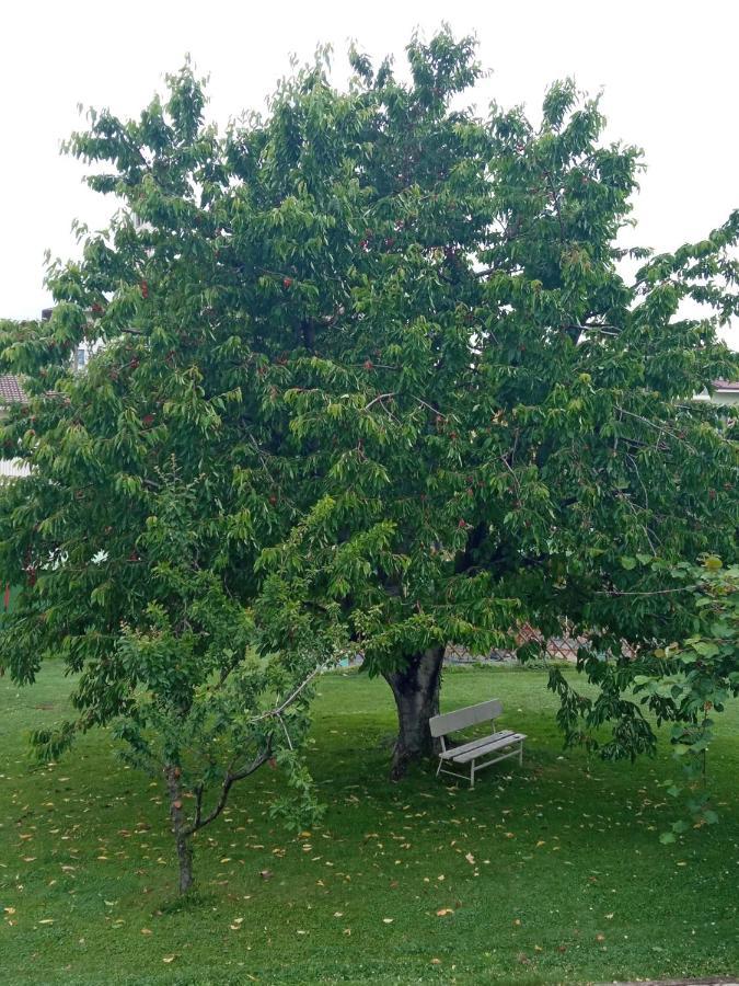 Vignolo B&B L'Ortensia מראה חיצוני תמונה