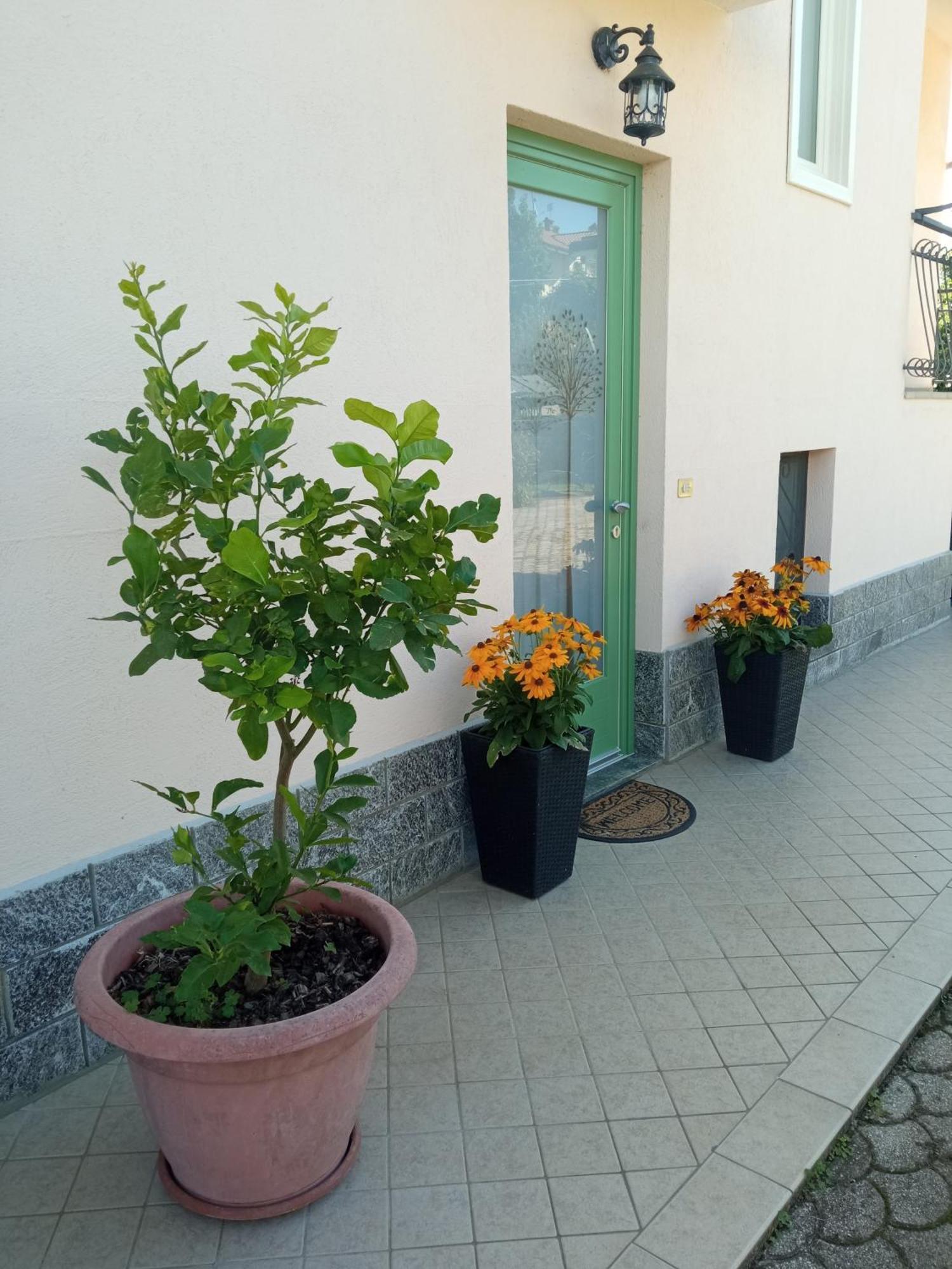 Vignolo B&B L'Ortensia מראה חיצוני תמונה