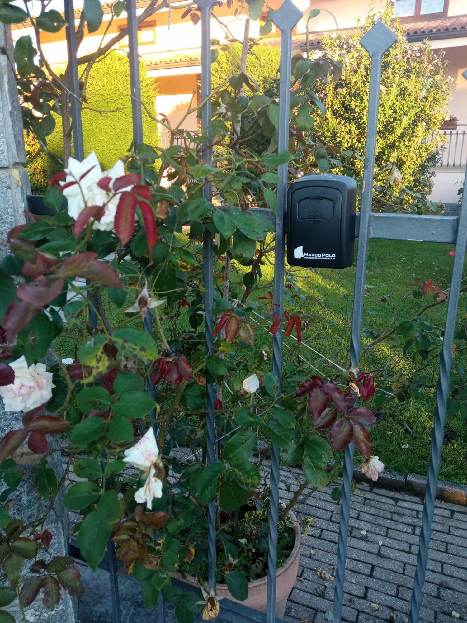 Vignolo B&B L'Ortensia מראה חיצוני תמונה
